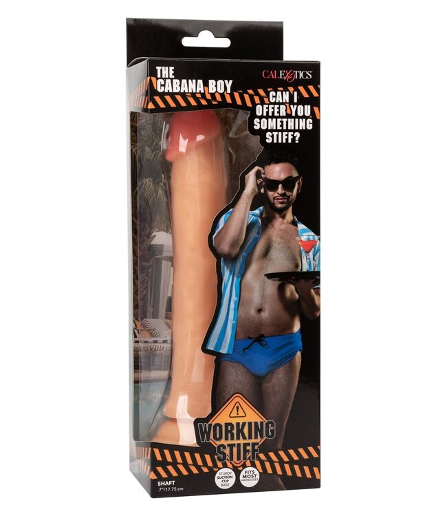 Working Stiff The Cabana Boy