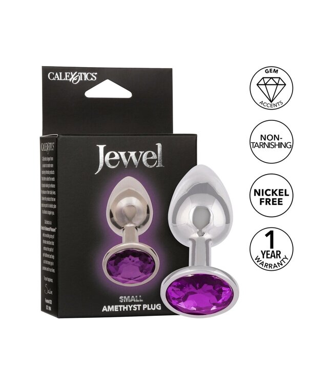 Jewel Small Amethyst Plug
