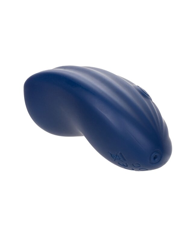 Cashmere Velvet Curve