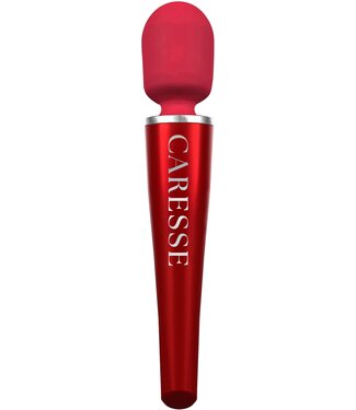 Pro Wand Massager