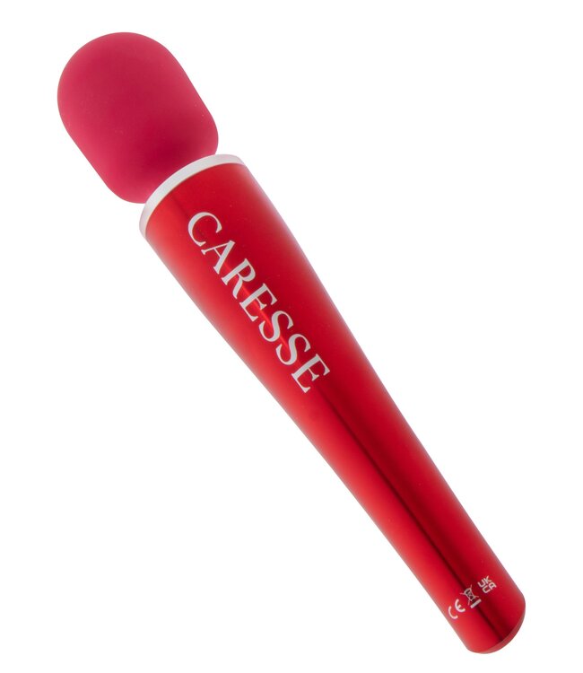 Pro Wand Massager