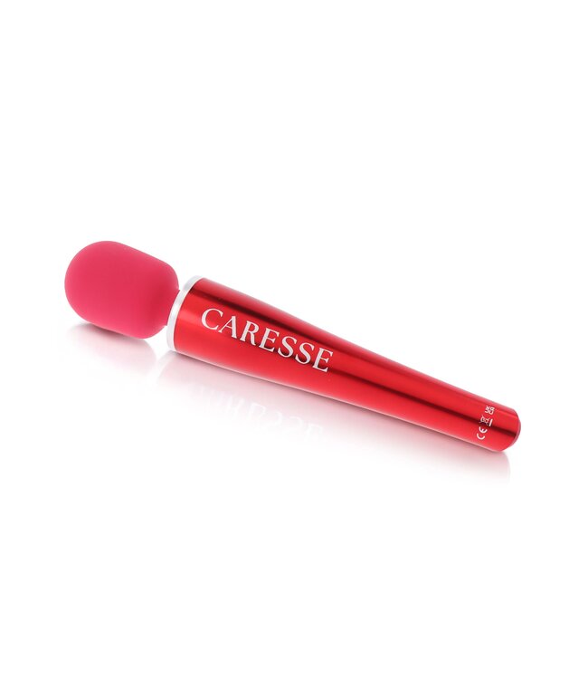 Pro Wand Massager