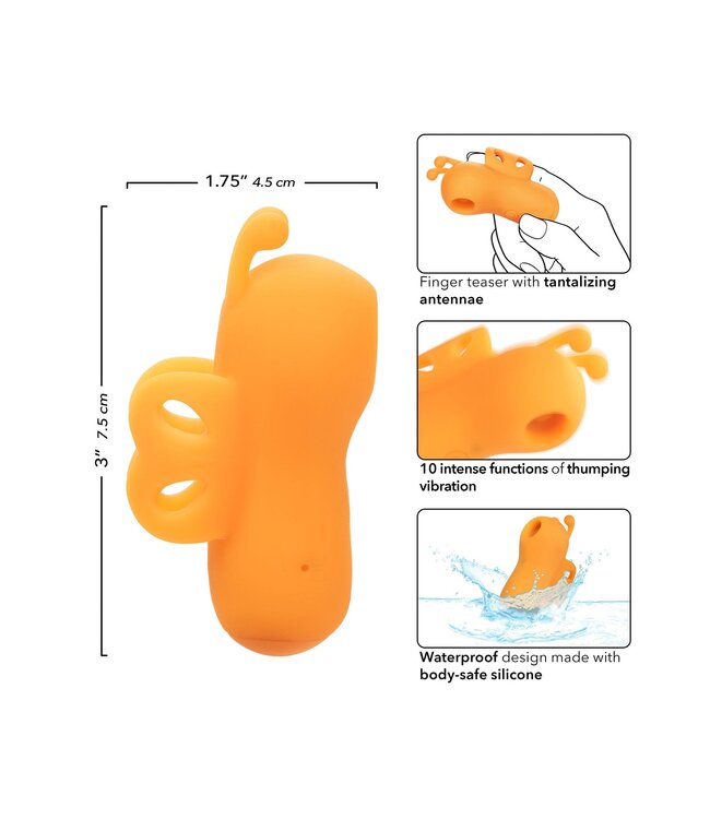 The Buzzing Vibrator
