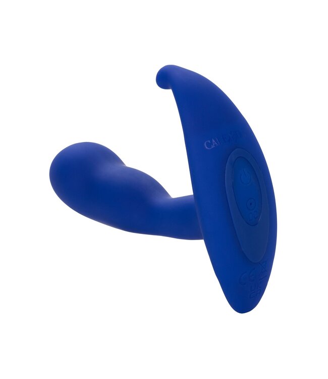 Admiral Advanced Curved Probe
