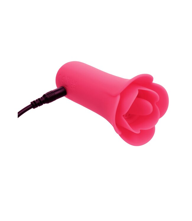 Lily Licker Mini Flower Flicker
