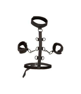 Boundless Collar Restraint