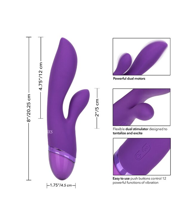 Aura Dual Lover