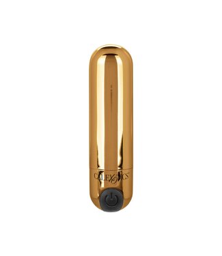 Rechargeable Hideaway Bullet