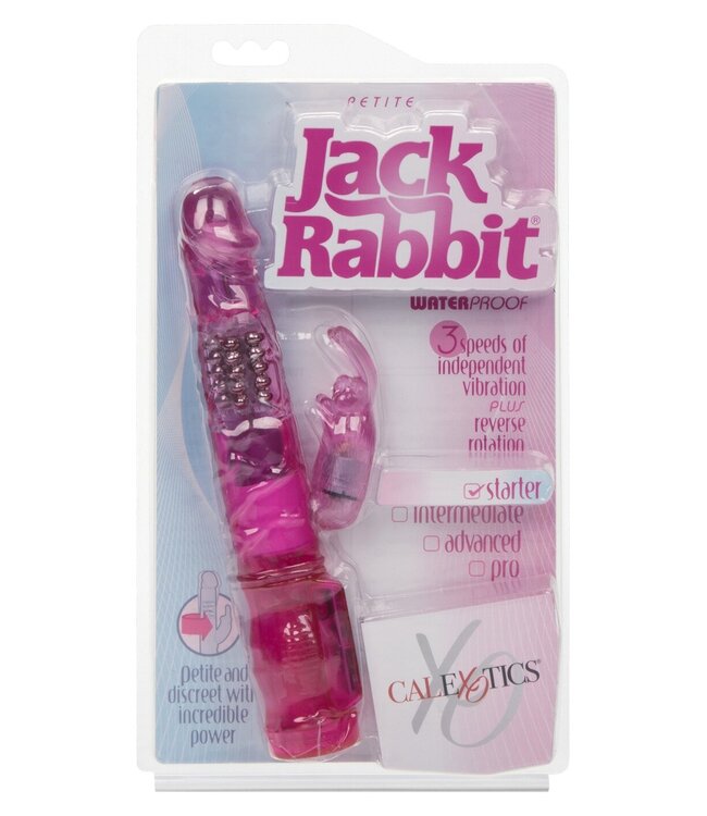 Petite Jack Rabbit