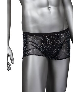 Radiance Boxer Briefs