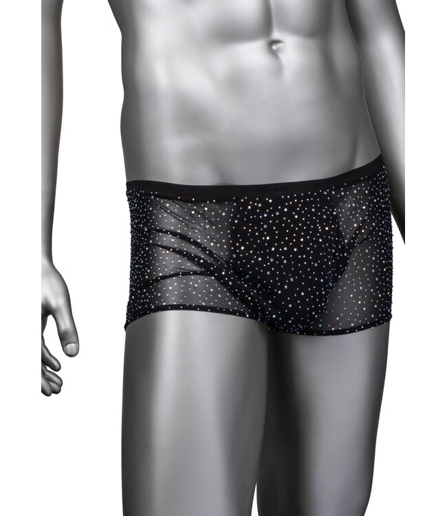 Radiance Boxer Briefs