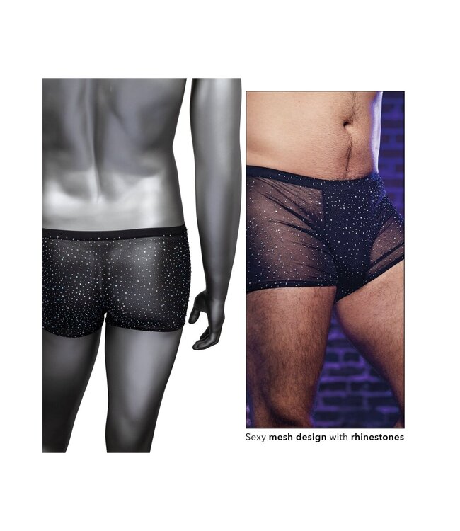Radiance Boxer Briefs