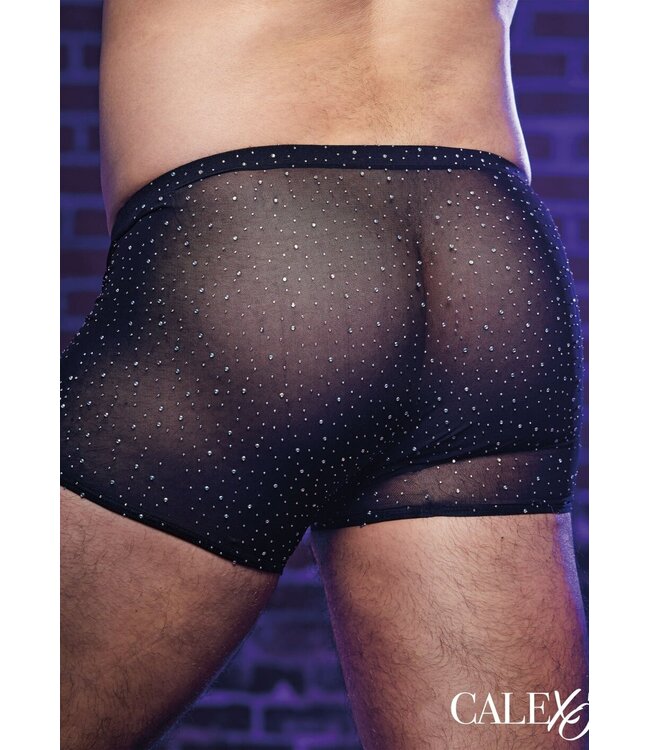 Radiance Boxer Briefs