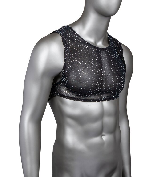 Radiance Crop Top