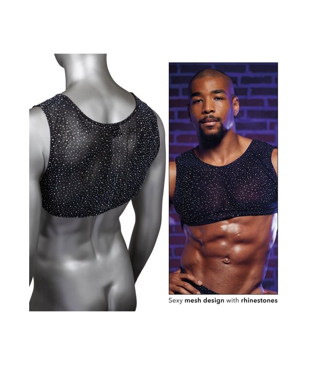 Radiance Crop Top