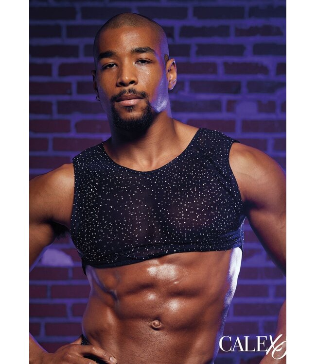 Radiance Crop Top