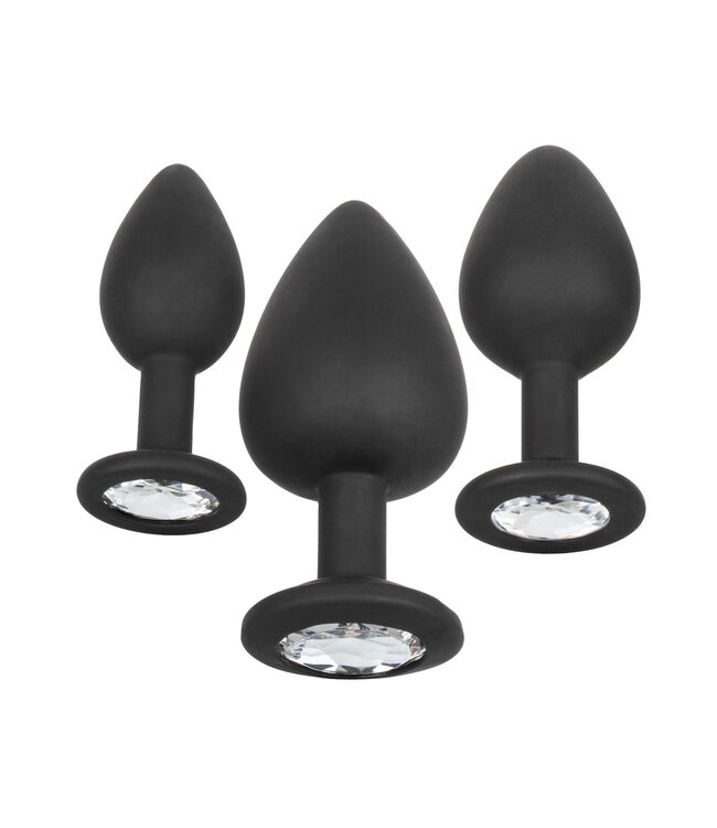 Silicone Gem Anal Kit