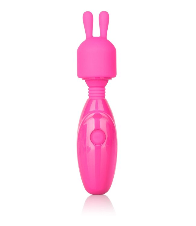 Tiny Teasers Bunny