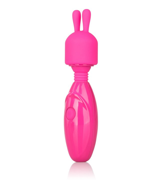 Tiny Teasers Bunny