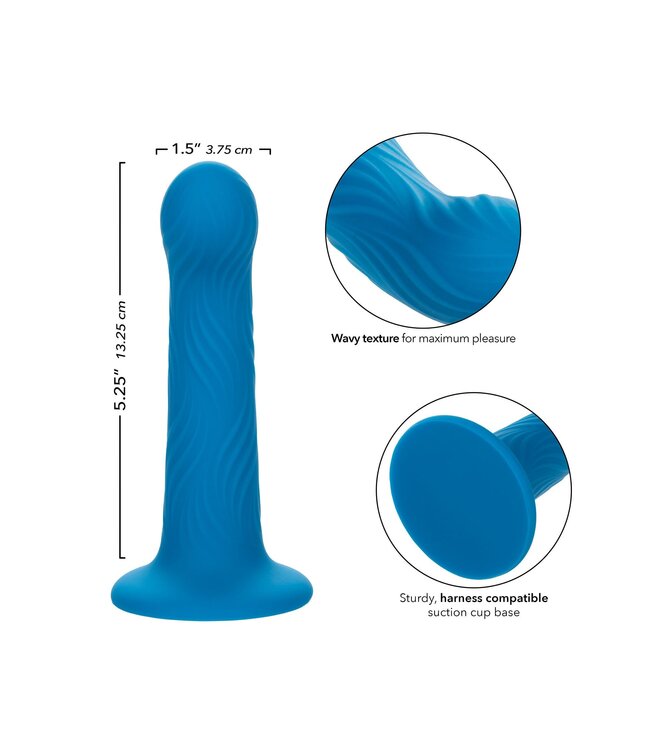 Wave Rider Ripple