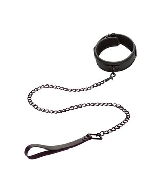 Nocturnal Collar & Leash