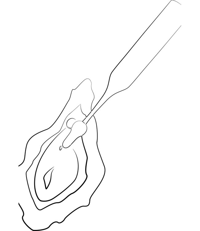 Pop