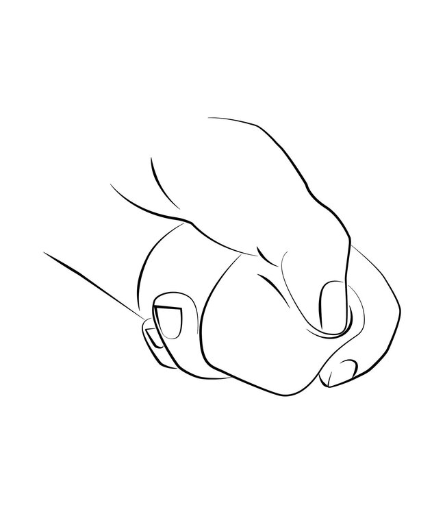 Presto Wand