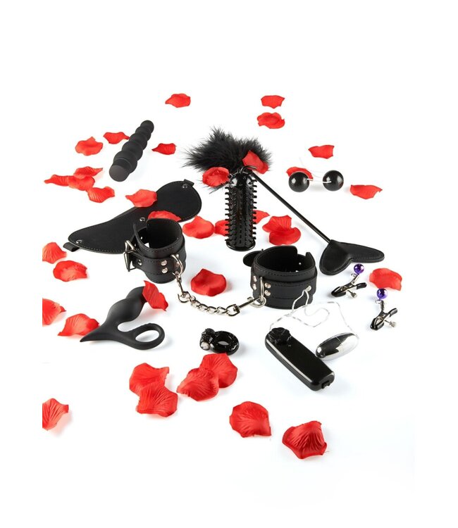 Lovetoy Starter Kit
