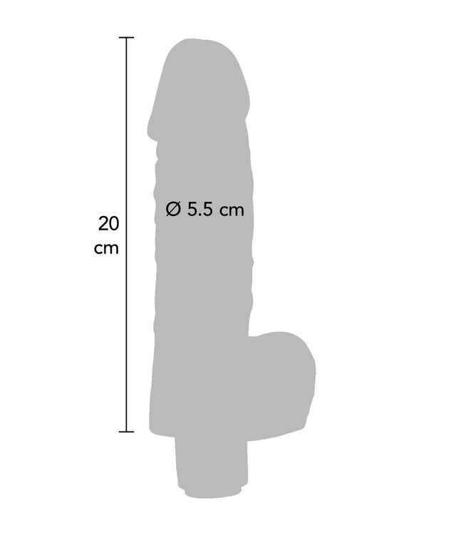 Boy Wonder Vibrating Dong 20 cm