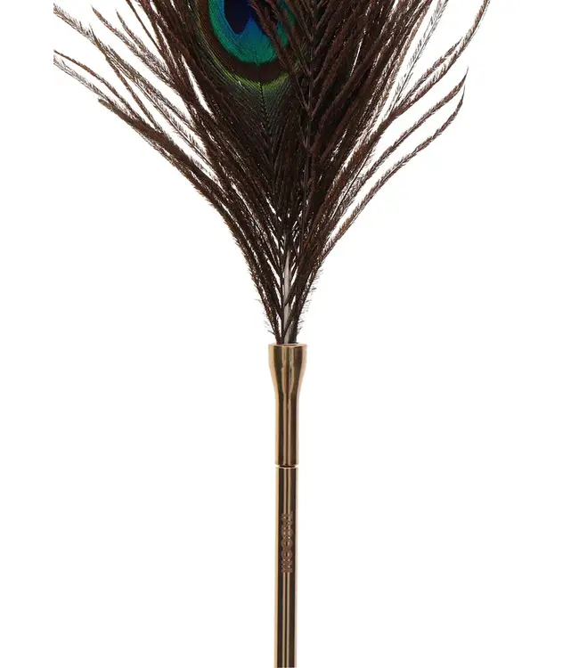 Peacock Tickler
