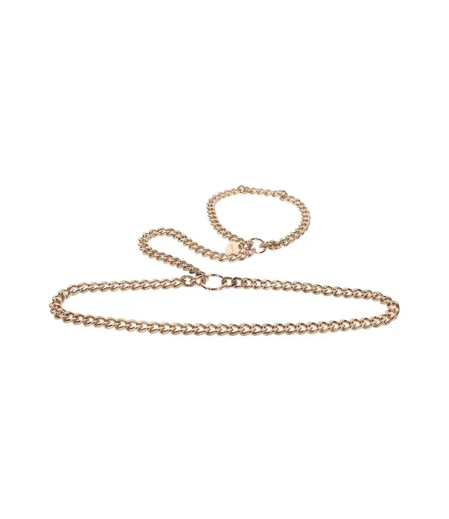 Statement Harness