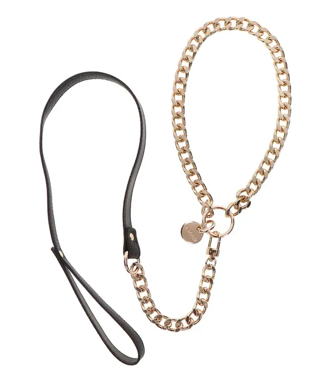 Statement Collar and leash