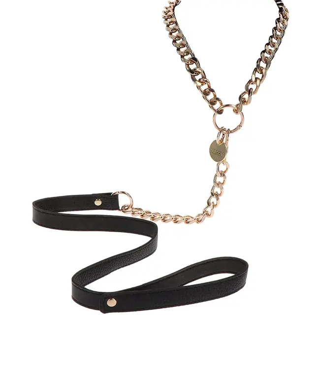 Statement Collar and leash