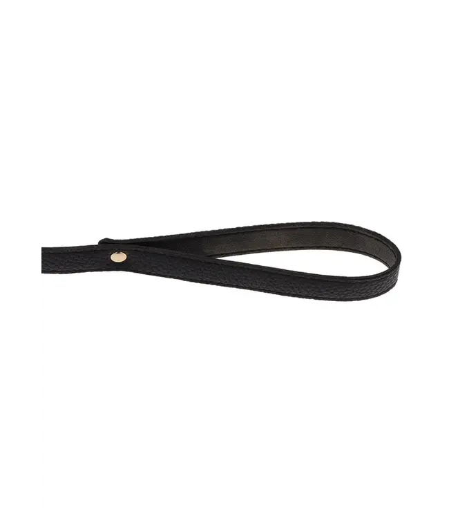 Statement Collar and leash