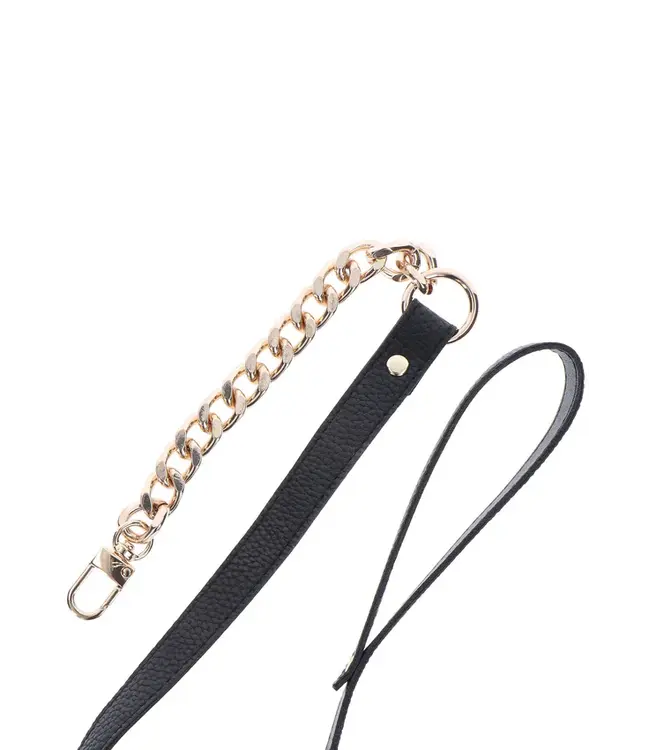 Statement Collar and leash