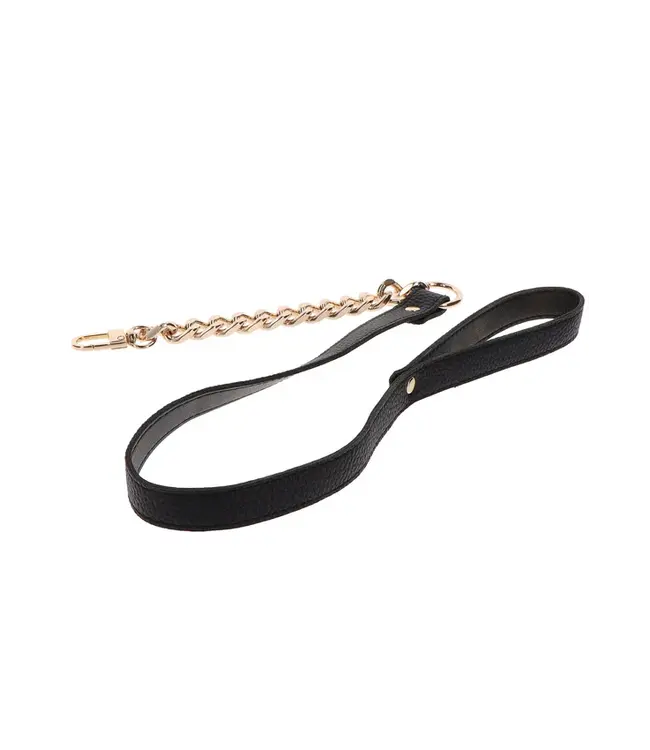 Statement Collar and leash