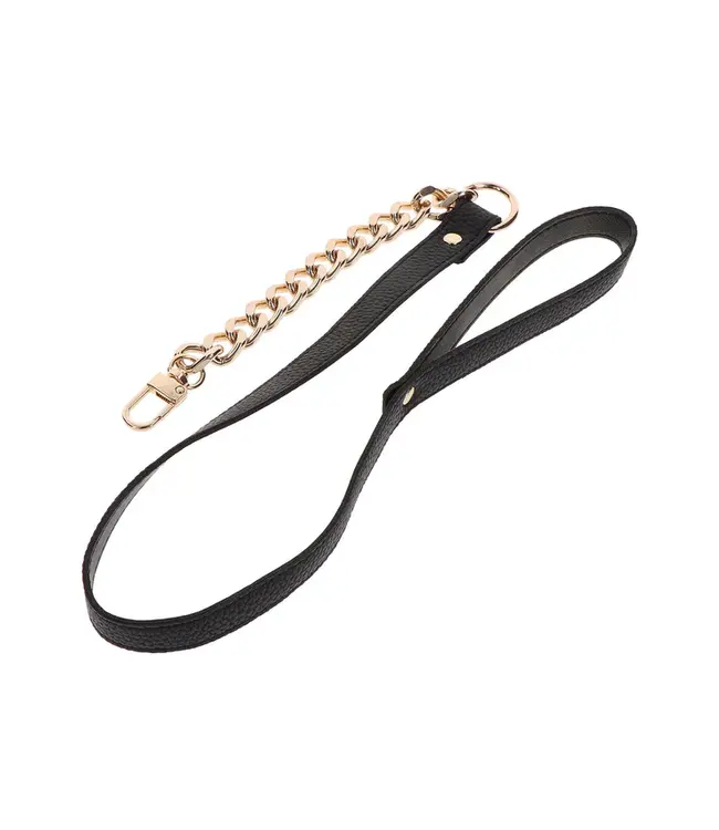 Statement Collar and leash
