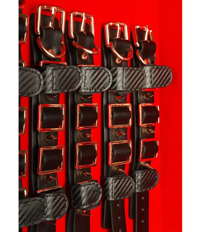 Desires Masterpiece Case