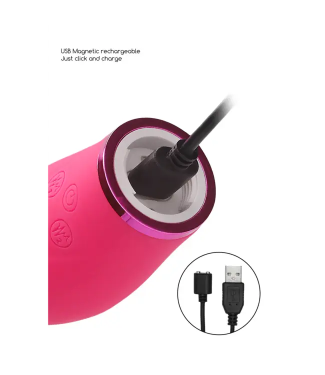 Switch Pleasure Kit #4 - Vibrator with Different Attachments