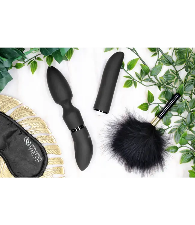 Switch Pleasure Kit #4 - Vibrator with Different Attachments
