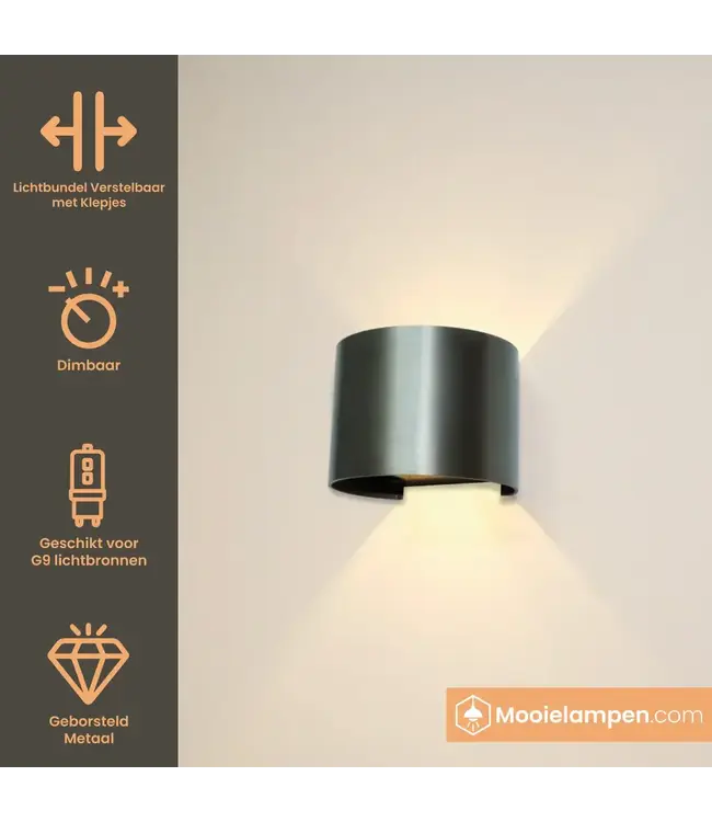 Artdelight Artdelight Industrielle G9-Wandleuchte Gyro - Gunmetal