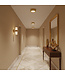 Artdelight Artdelight LED-Design-Deckenleuchte Montana - Gold
