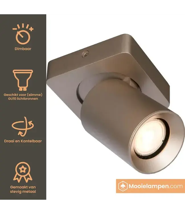 Artdelight Industrieller Deckenstrahler Megano 1L - Champagner