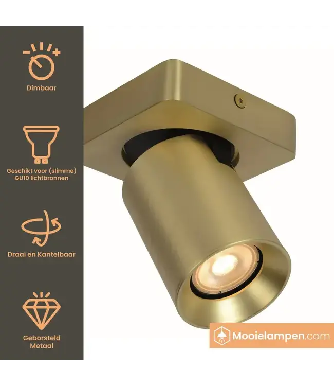 Artdelight Industrieller Deckenstrahler Megano 1L - Gold