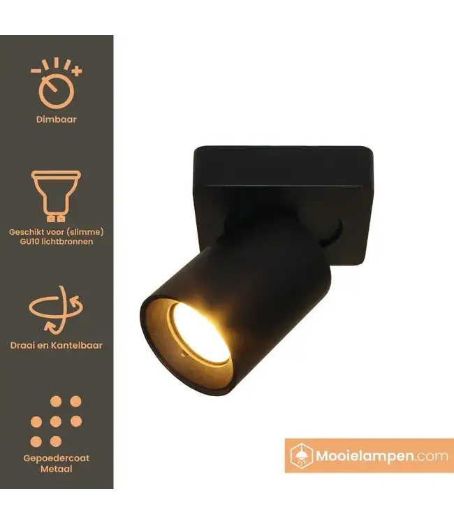 Artdelight Industrieller Deckenstrahler Megano 1L - Schwarz