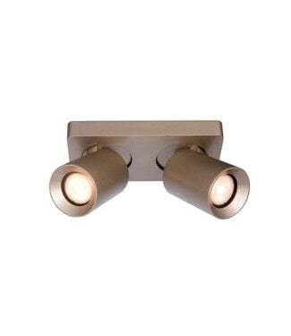 Artdelight Deckenstrahler Megano 2L - Champagner