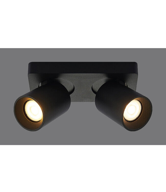 Artdelight Industrieller Deckenstrahler Megano 2L - Schwarz