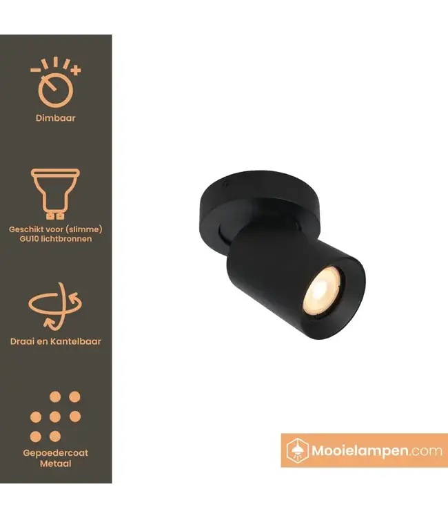Artdelight Runder Deckenstrahler Megano 1L - Schwarz