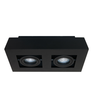 Artdelight Deckenstrahler Bosco 2L - Schwarz