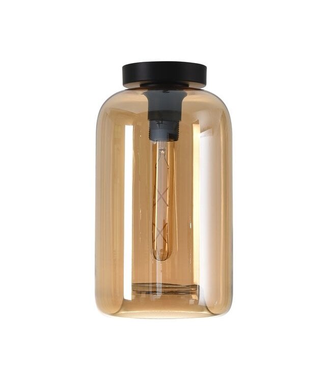 Artdelight Artdelight Glas-Deckenleuchte Botany - Bernstein